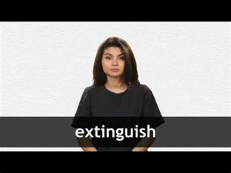 sextingusername|EXTINGUISH Definition & Meaning .